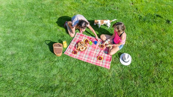 Female friends with dog having picnic in park, girls sitting on grass and eating healthy meals outdoors, aerial view from above - Foto, afbeelding