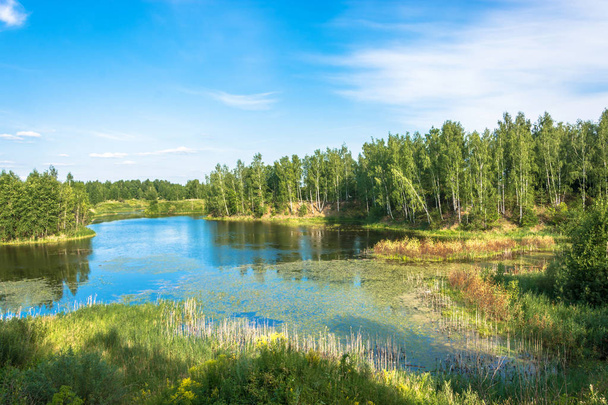 Beautiful scenery with a small lake on a sunny summer day, Russia.  - Zdjęcie, obraz
