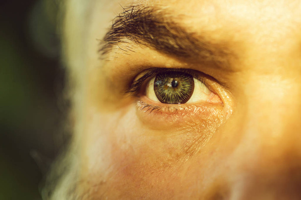 male eye with striped lens - Foto, Imagen