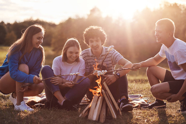 Four young friends with positive expressions fry marshmallows near bonfire, enjoy evening time, talk about something, like adventures, dressed casually. Friendship, lifestyle and picnic concept - Photo, Image