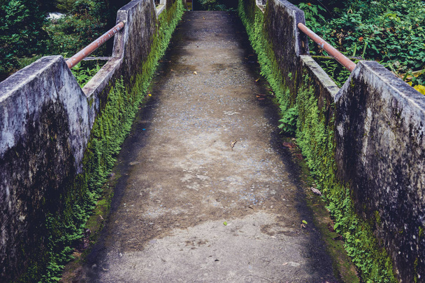 Stary betonowy most z zielony most do przekraczania strumieni w naturalnym lesie. - Zdjęcie, obraz