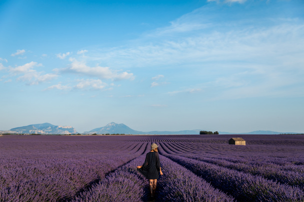 Hátulnézet a lány séta a festői levendula mező-Provence, Franciaország - Fotó, kép