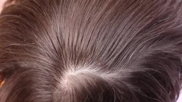 Kapper kammen een menselijk haar met een haren borstel, bovenaanzicht, close-up macro - Video