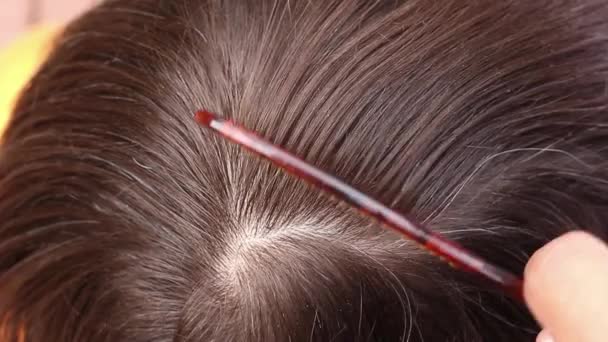 Friseur kämmt die Haare eines Menschen und wählt einzelne graue Haare, Draufsicht, Nahaufnahme Makro  - Filmmaterial, Video