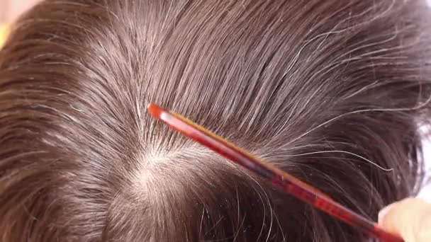 Kapper een menselijk haar kammen, selecteert enkele grijze haren en het snijdt door schaar, bovenaanzicht, close-up macro  - Video