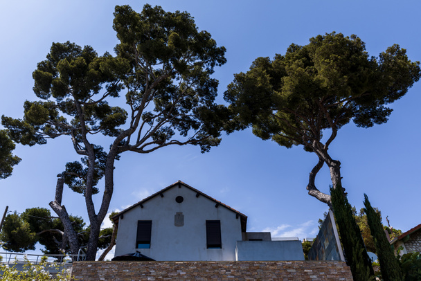 alacsony, szög, kilátás a gyönyörű fehér ház és a magas zöld fák, Provence, Franciaország - Fotó, kép