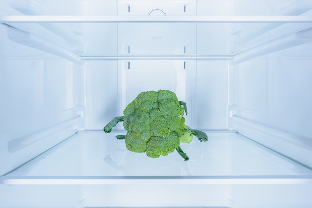 one ripe tasty broccoli in fridge - Photo, Image