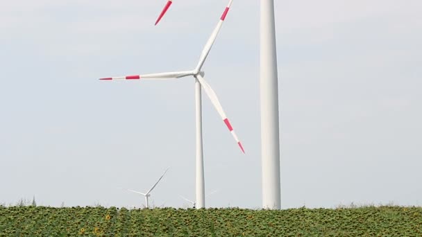 a szél-turbinák energia ipar - Felvétel, videó