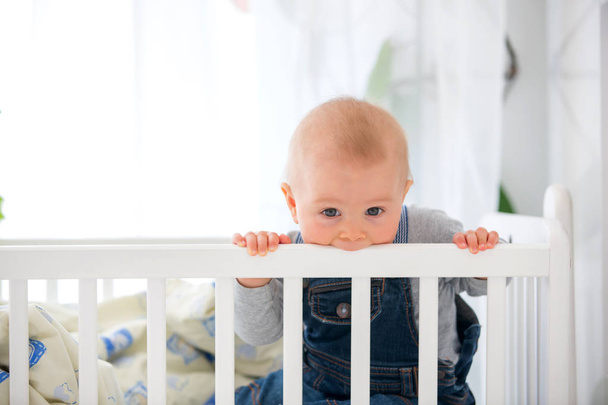 Little toddler boy, crying in crib after waking up, toys in bed - Valokuva, kuva