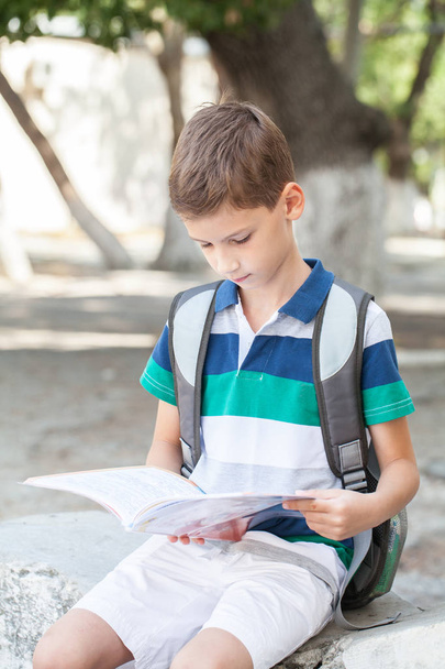 little schoolboy reads book outdoor near school - 写真・画像