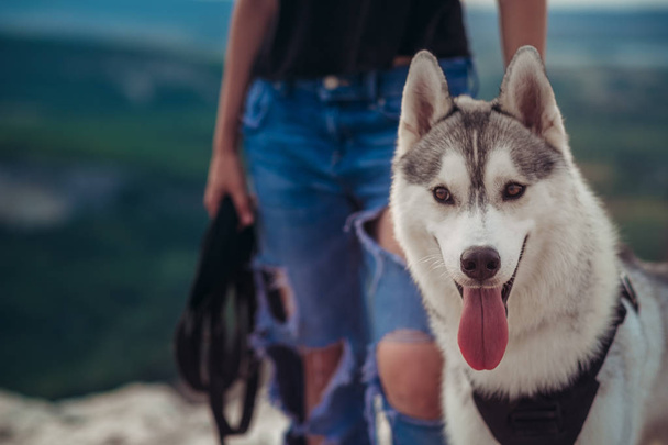 Hermosa chica juega con un perro (husky gris y blanco) en las montañas al atardecer
 - Foto, imagen