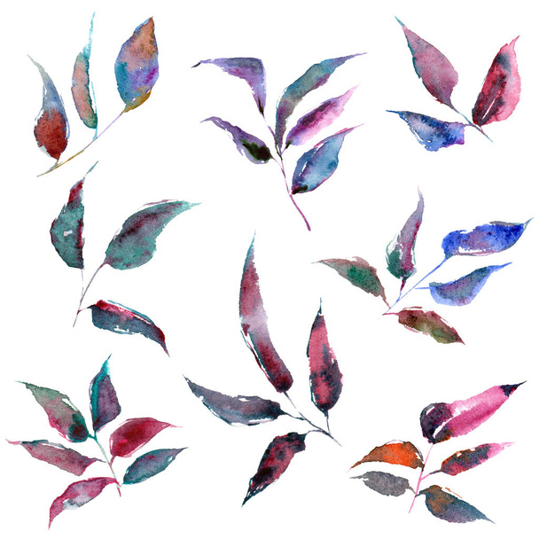 Drawing leaves for decoration. Watercolor colorful leaves. Autumn leaves branches. - Fotó, kép