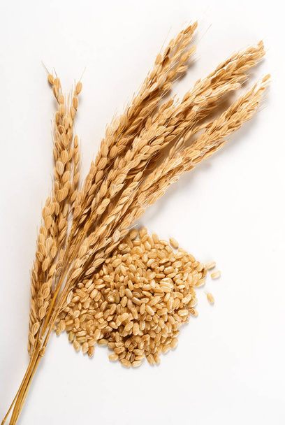 organic rice ears and grain on white background - Photo, Image