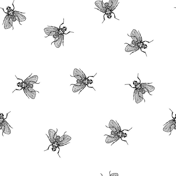 Fly in chaos vector seamless white pattern - Vetor, Imagem