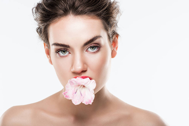 beautiful nude woman holding pink flower in lips, isolated on white - Φωτογραφία, εικόνα