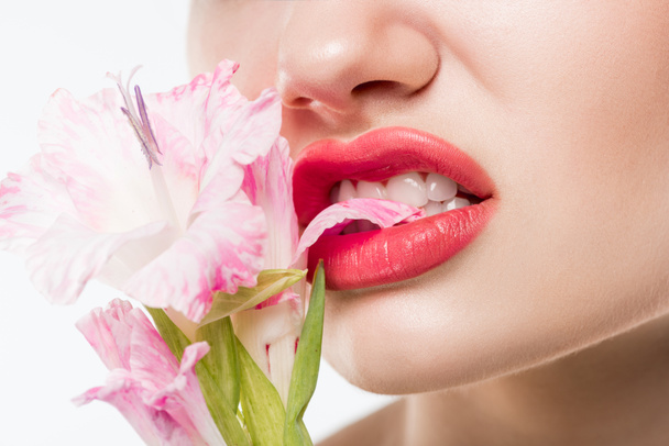 vue partielle de fille mordant fleurs roses, isolé sur blanc
 - Photo, image