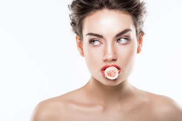 naked woman holding pink rose flower in lips, isolated on white - Φωτογραφία, εικόνα