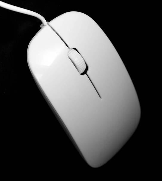 mouse bianco per il computer su sfondo nero
 - Foto, immagini