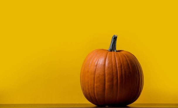 One orange pumpkin on table with yellow background - Фото, изображение