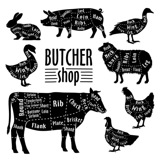 Snijden van vlees van dieren, diagram voor slager. Vlees snij set - Vector, afbeelding