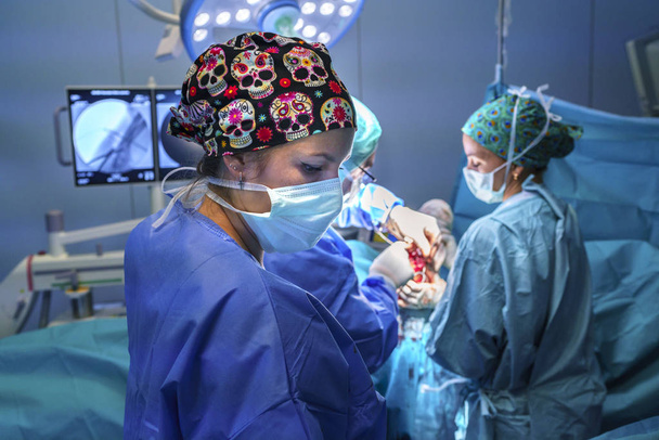 外科医、手術助手、手術室で勤務する看護師は、手術材料を見ることができます。手術室のライトが点灯しています。. - 写真・画像