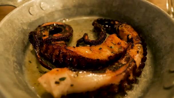 Nahaufnahme von Gourmet köstlichen gebratenen Oktopus - Filmmaterial, Video