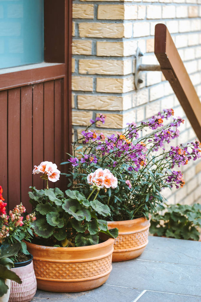 Hlavní vstupní dveře do zděného rodinného domu zdobí rostliny a květiny v květináčích na schodech. - Fotografie, Obrázek
