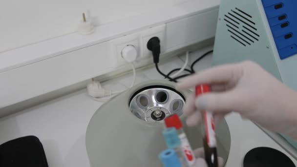 Hands in white gloves put test tubes with blood into laboratory centrifuge - Materiał filmowy, wideo