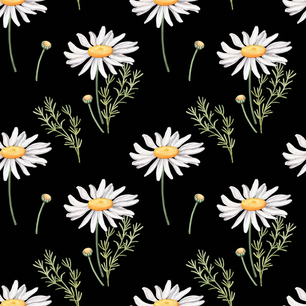 Seamless pattern with camomile flowers on black - Foto, afbeelding
