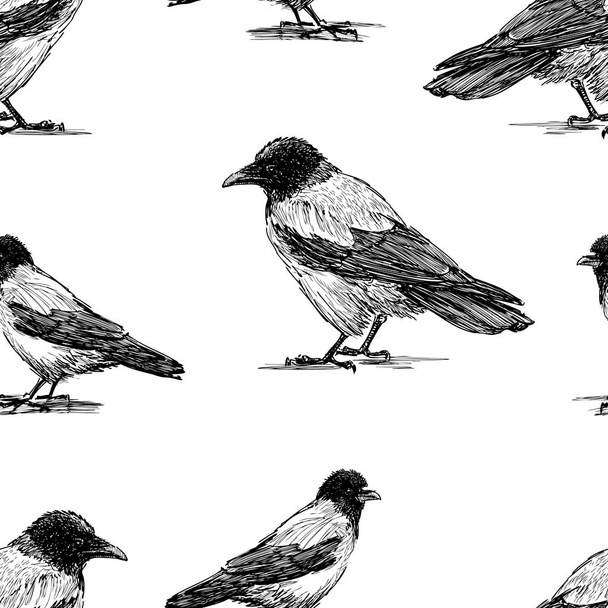 Seamless background of crows sketches - Vetor, Imagem