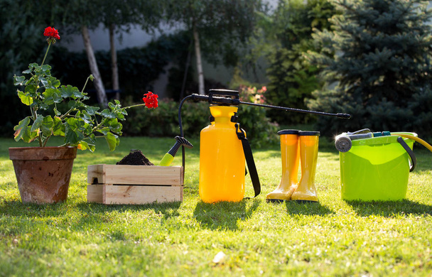 Gartengeräte auf grünem Rasen im Hof arrangiert - Foto, Bild