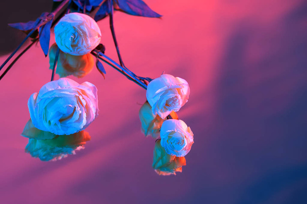 影と明るい背景にピンク、紫、青バラの花束. - 写真・画像