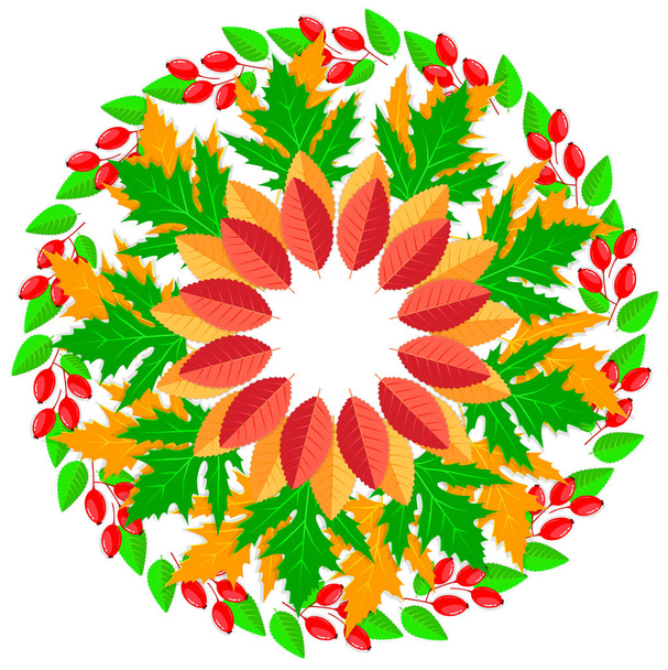 Round bright ornaments pattern autumn leaves - Vector, afbeelding