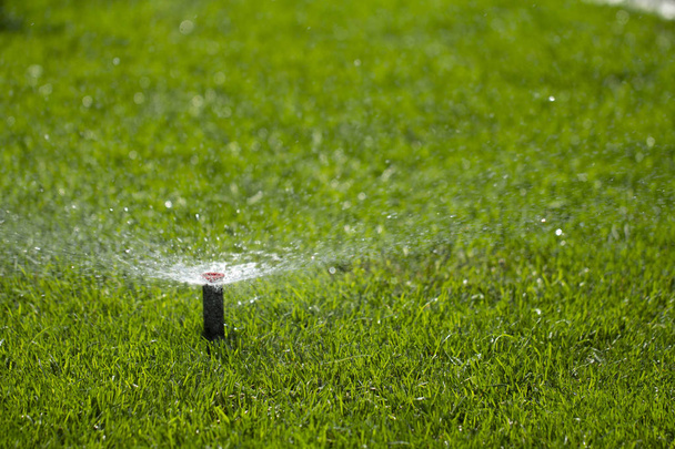 sistema automático de aspersão regar o gramado em um fundo de grama verde, close-up - Foto, Imagem