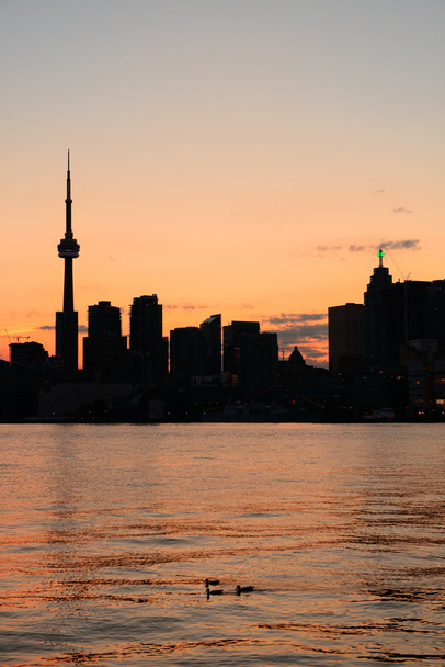Toronton siluetti
 - Valokuva, kuva