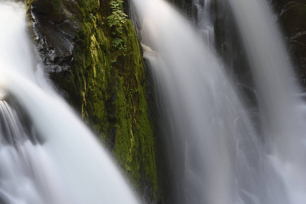 Triple vedl Sol Duc Falls, olympijský národní Park, Washington - Fotografie, Obrázek