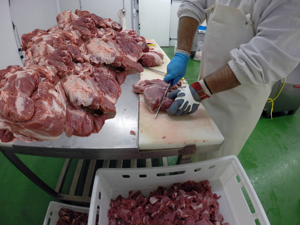 Boucher avec un couteau tranchant coupant du porc frais dans une usine de transformation de la viande
 - Photo, image