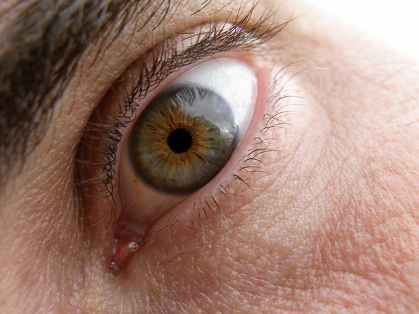 Mężczyzna oko ludzkie zbliżenie - Zdjęcie, obraz