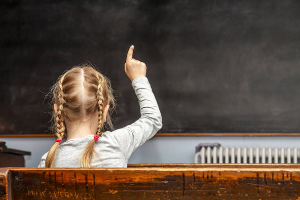 Concept of public primary school education with young girl raising her hand in the classroom - Photo, Image