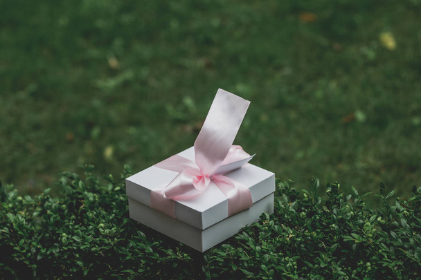 Yeşil çimenlerin üzerinde hediye kutusu - Fotoğraf, Görsel