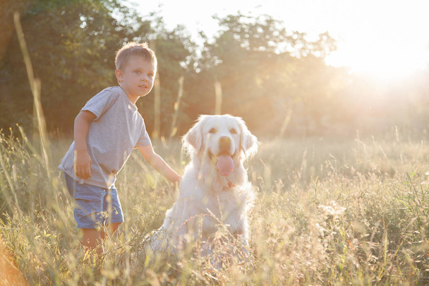 Dítě s pet na procházku v parku. Chlapec si hraje s přítelem pes. - Fotografie, Obrázek