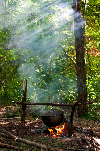 La cena se cocina en una olla grande sobre un fuego abierto
 - Foto, Imagen