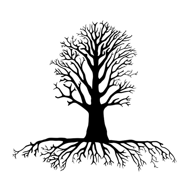 Sílhueta de árvore com raízes - Foto, Imagem