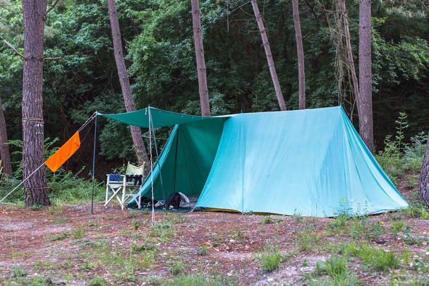 Tent in the forest. Traveling in the mountains. Camp in the wild. Green tourism. Life in the camp. Summer vacation savages in the fresh air. - Photo, Image