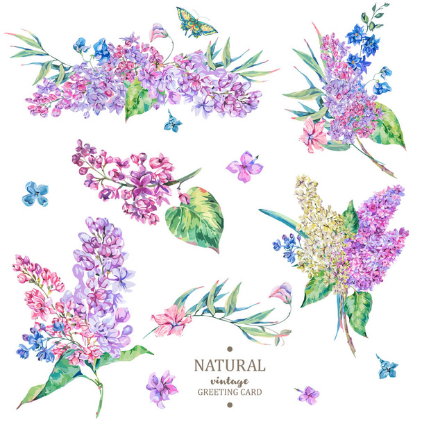 Conjunto de vintage floral vector ramo de color lila
  - Vector, Imagen