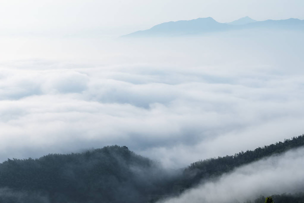 the sea of clouds closeup, beautiful natural scenery in early morning on mountains - Foto, Imagen