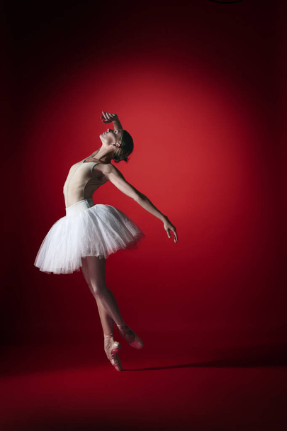 Ballerina. Young graceful female ballet dancer dancing at red studioskill. Beauty of classic ballet. - Fotó, kép