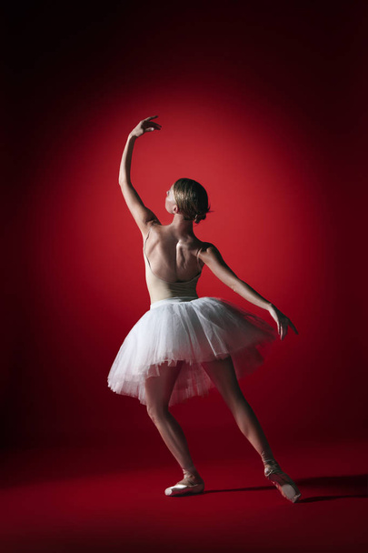 Ballerina. Young graceful female ballet dancer dancing at red studioskill. Beauty of classic ballet. - Foto, imagen