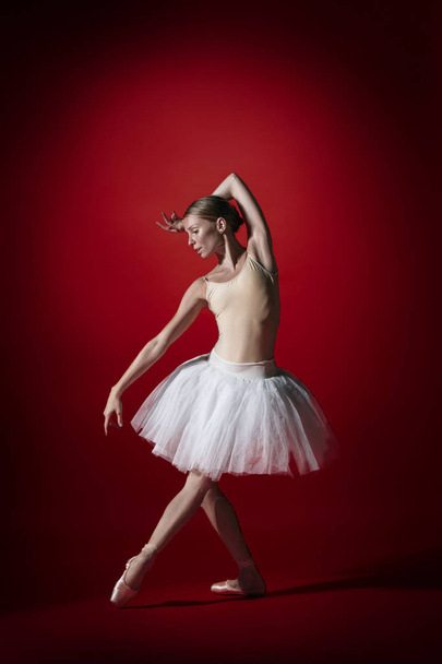 Ballerina. Young graceful female ballet dancer dancing at red studioskill. Beauty of classic ballet. - 写真・画像