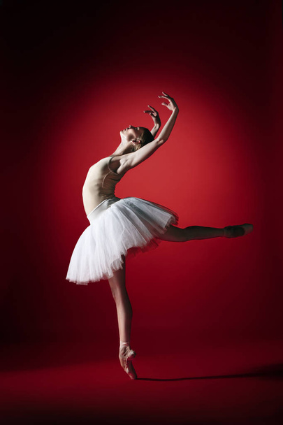 Ballerina. Young graceful female ballet dancer dancing at red studioskill. Beauty of classic ballet. - Фото, изображение